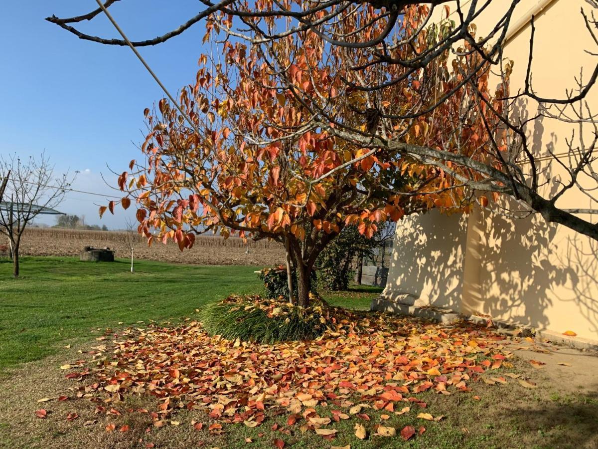 Agriturismo Cascina Mariale Albiano D'Ivrea Luaran gambar