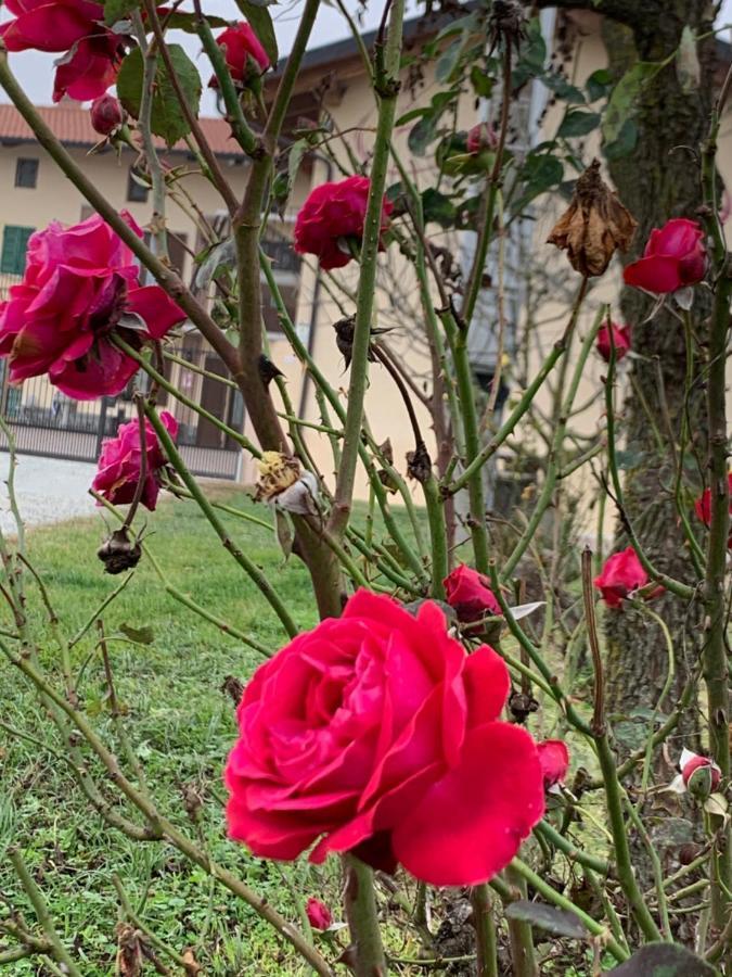 Agriturismo Cascina Mariale Albiano D'Ivrea Luaran gambar